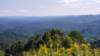_143328_small.jpg