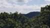 _145048_small.jpg