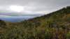 _125028_small.jpg