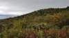 _125032_small.jpg