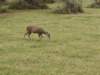 img_20251010_153240003_small.jpg