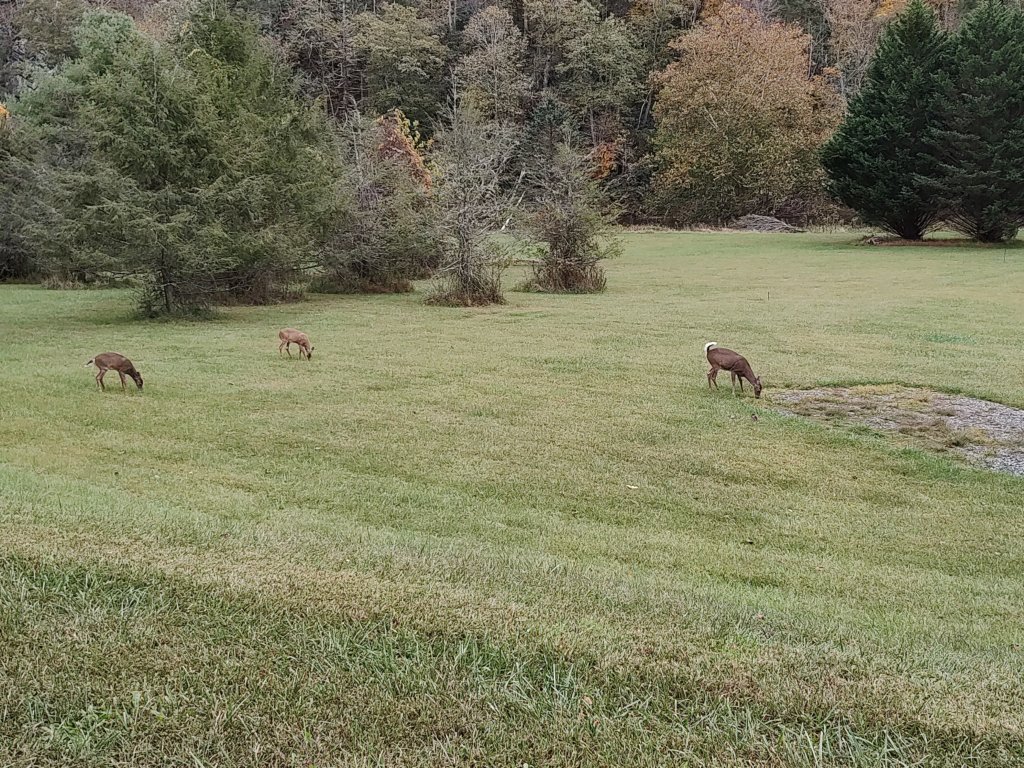 img_20251010_153255506.jpg