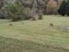 img_20251010_153258137_small.jpg