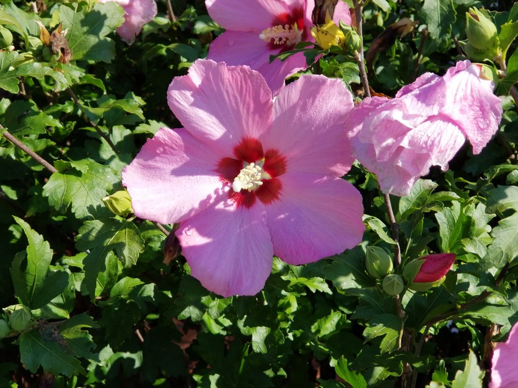 _095646.jpg