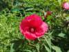 _103720_small.jpg