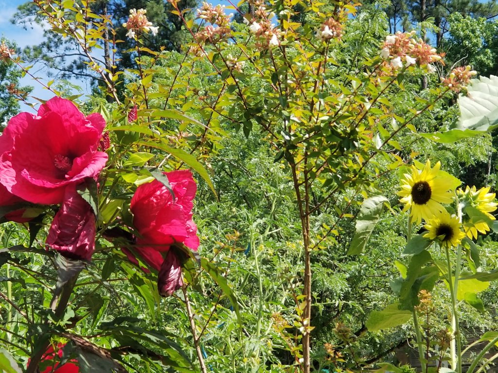 _103733.jpg