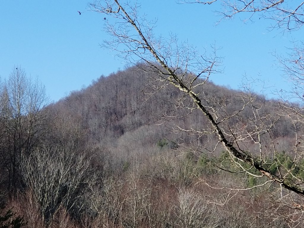 _110209.jpg