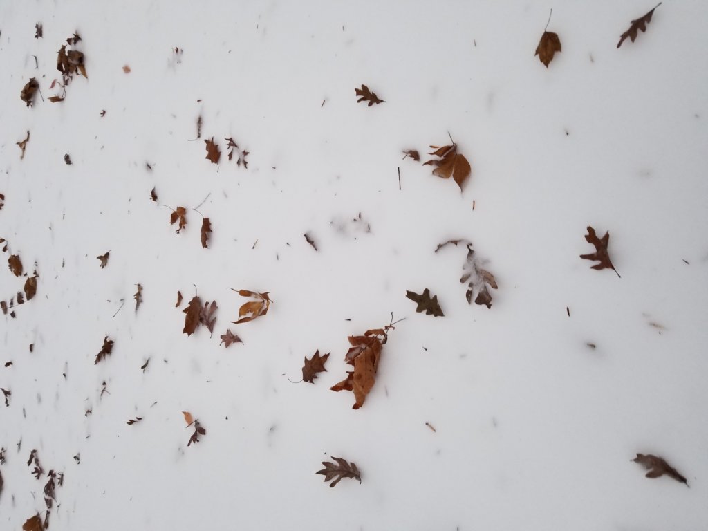 _170218.jpg