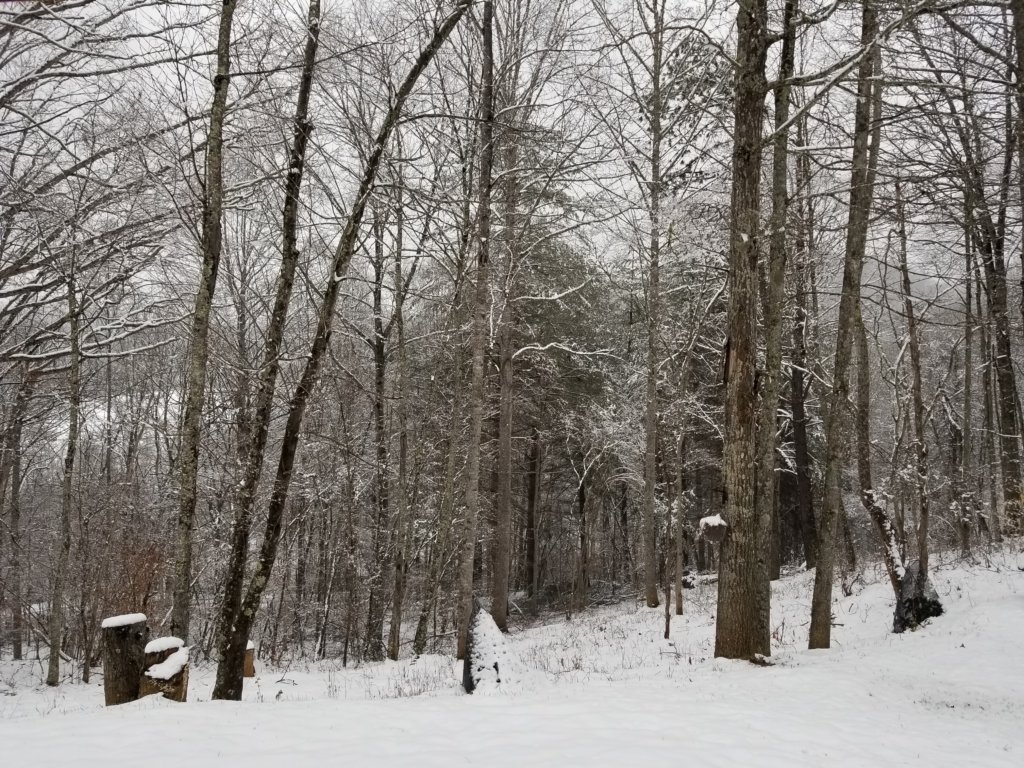 _182403.jpg