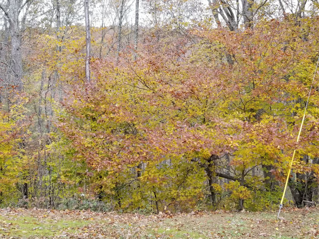 _094101.jpg