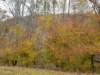 _094103_small.jpg