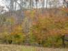 _094113_small.jpg