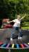 _110615_small.jpg