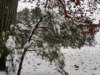 _170244_small.jpg