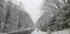 _104948_small.jpg