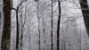 _105357_small.jpg