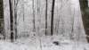 _105403_small.jpg