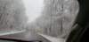 _105524_small.jpg