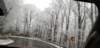 _105530_small.jpg