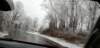 _105534_small.jpg