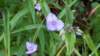 _094747_small.jpg