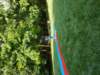 _180628_small.jpg