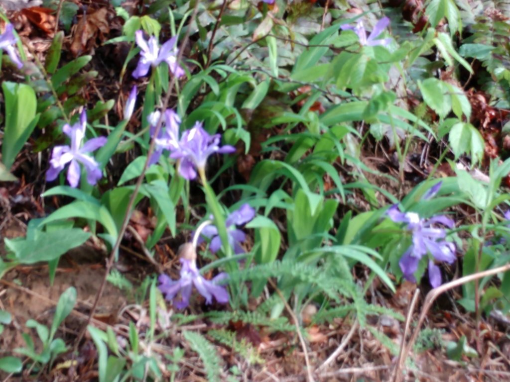 img_20190503_192227705.jpg