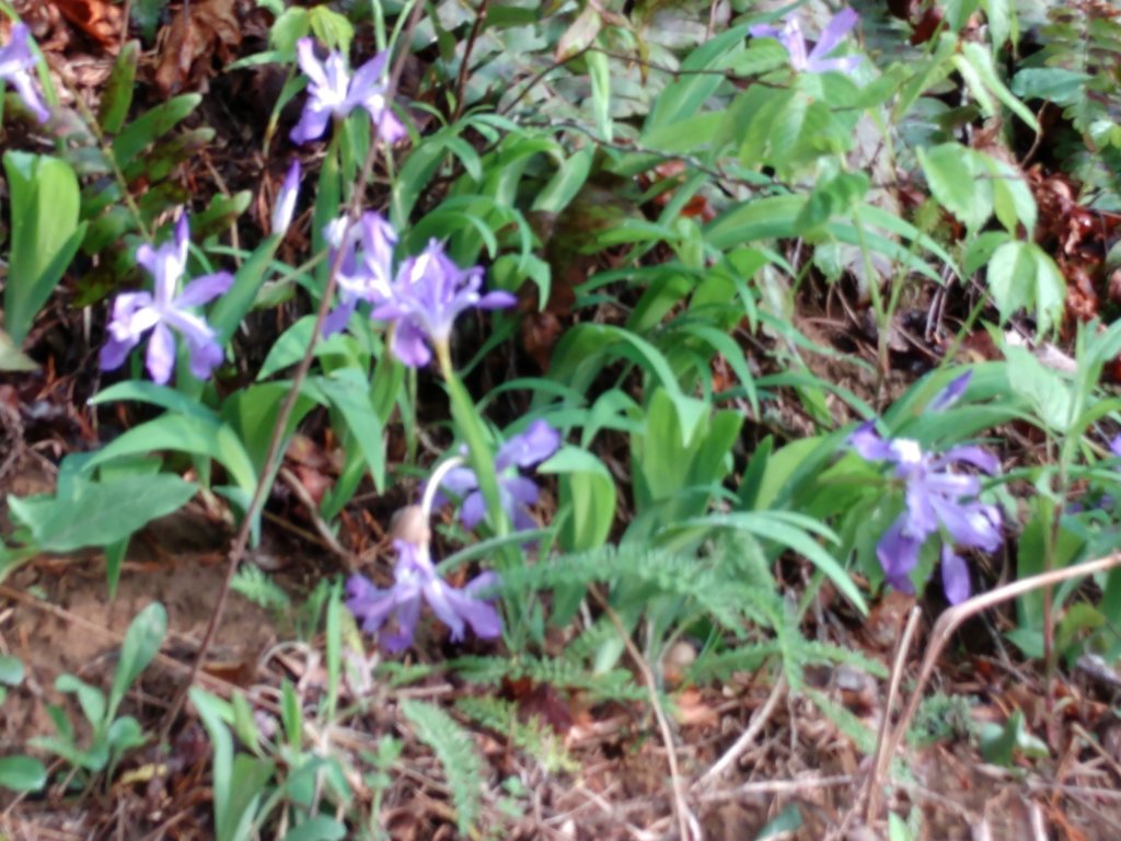 img_20190503_192229869.jpg