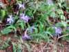 img_20190503_192229869_small.jpg