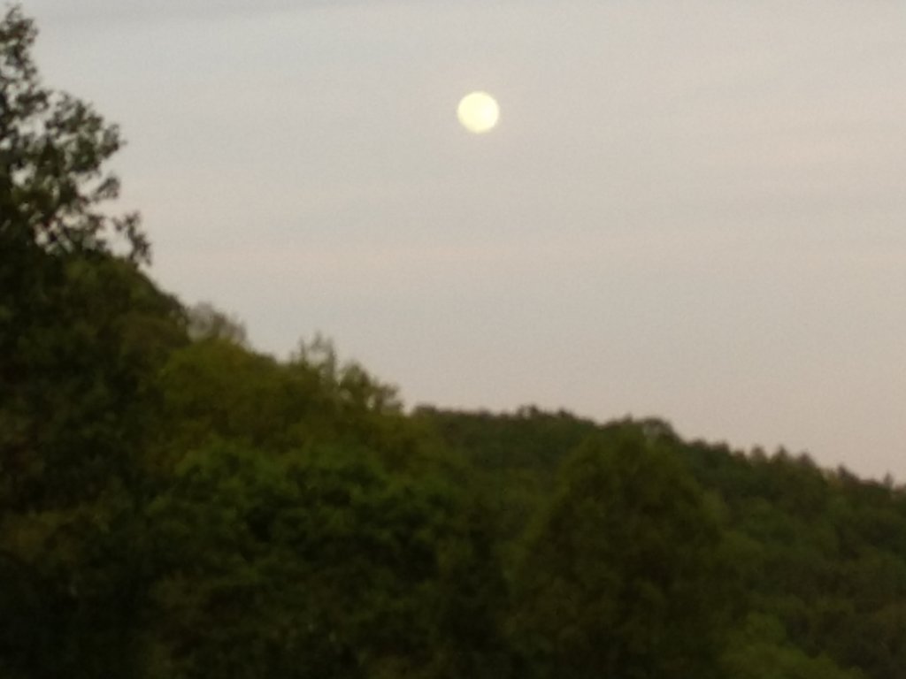 img_20190517_201635705.jpg
