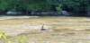 _105605_small.jpg