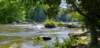 _110249_small.jpg