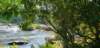 _110257_small.jpg