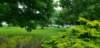_141907_small.jpg