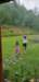 _143142_small.jpg