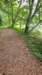 _154731_small.jpg