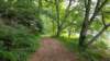 _154737_small.jpg