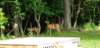 _162055_small.jpg