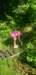 _173253_small.jpg