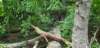 _175511_small.jpg