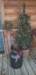 _162943_small.jpg