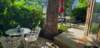 tim_lisa_652026_3_small.jpg