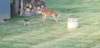 tim_lisa_652026_b_small.jpg