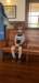 _110304_small.jpg