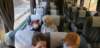 _114520_small.jpg