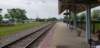 _161053_small.jpg