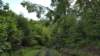 _084628_small.jpg