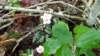 _092419_small.jpg