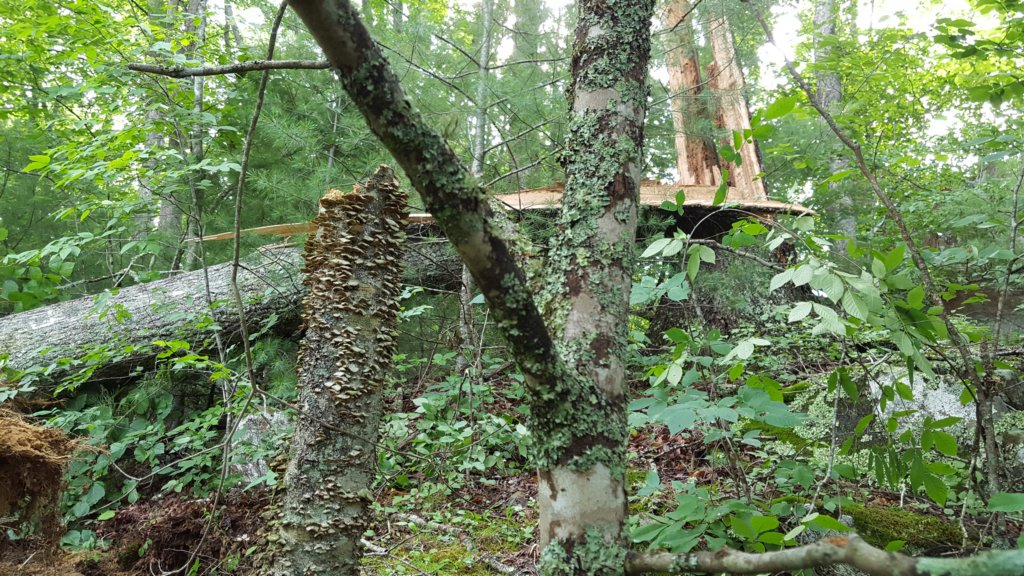 _092515.jpg