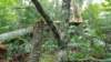 _092515_small.jpg